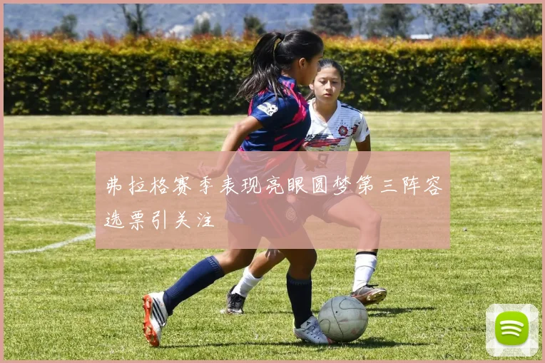 弗拉格赛季表现亮眼圆梦第三阵容选票引关注
