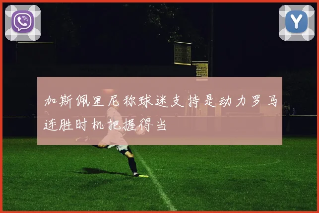加斯佩里尼称球迷支持是动力罗马连胜时机把握得当